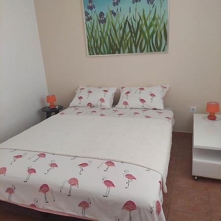 Apartments Pimpinella 普莱曼图拉 外观 照片