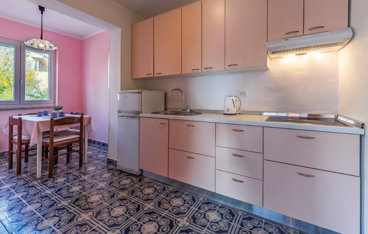 Apartments Pimpinella 普莱曼图拉 外观 照片