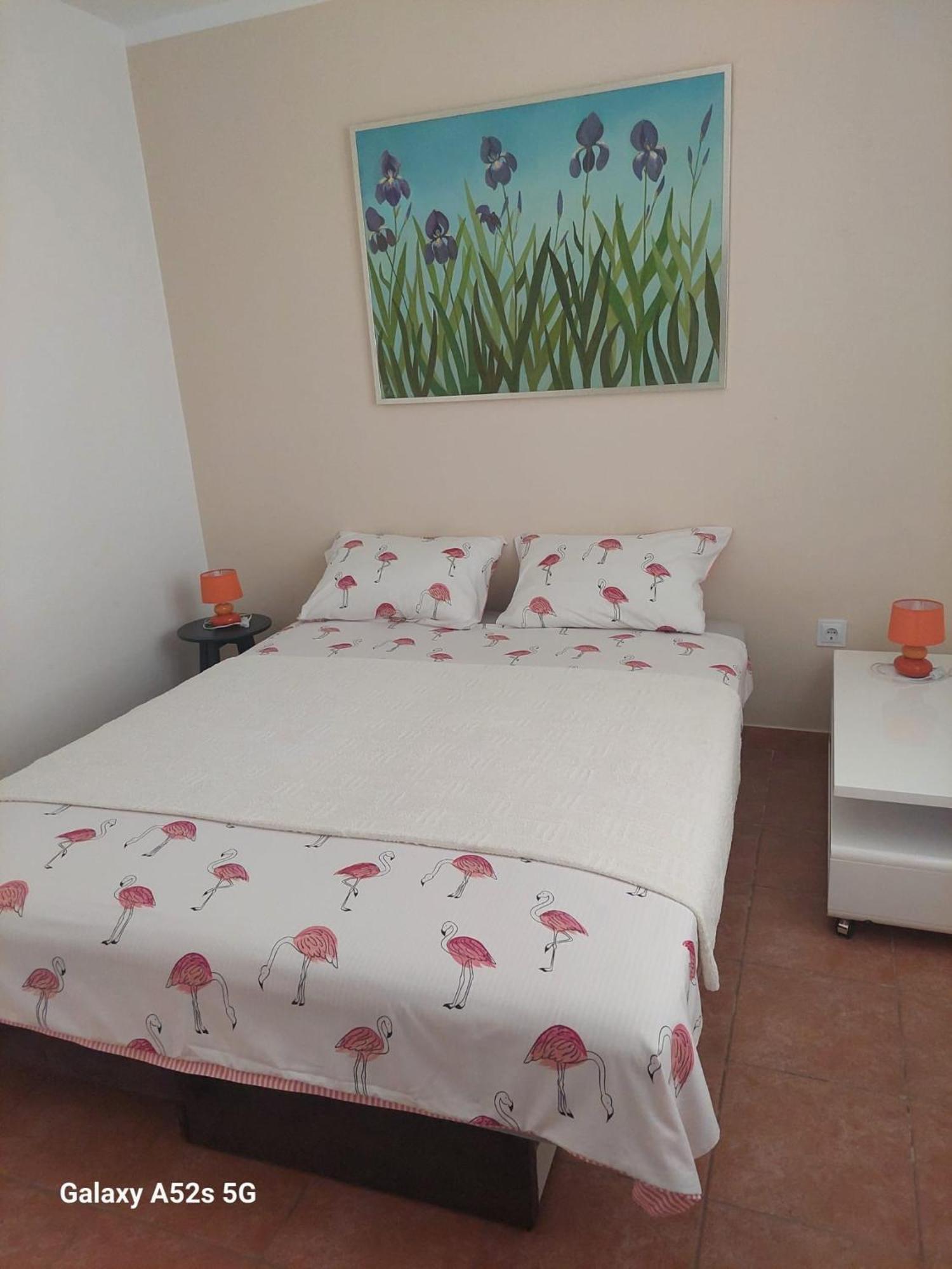 Apartments Pimpinella 普莱曼图拉 外观 照片