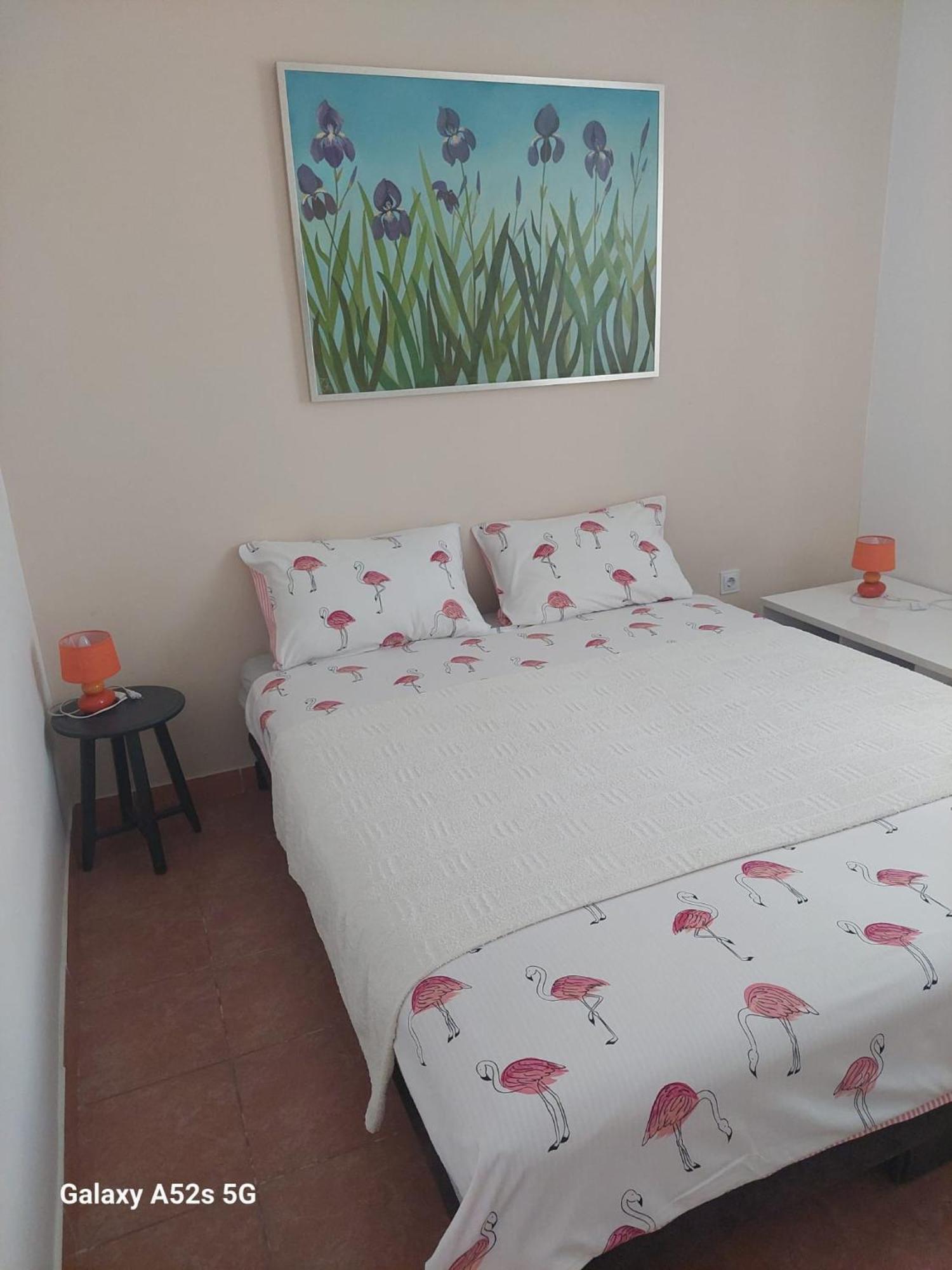 Apartments Pimpinella 普莱曼图拉 外观 照片
